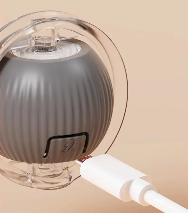 Balle Intelligente pour Animaux